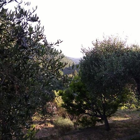 La Porta Del Sole Appartamento Nell'Oliveto Seborga Prensliği Dış mekan fotoğraf